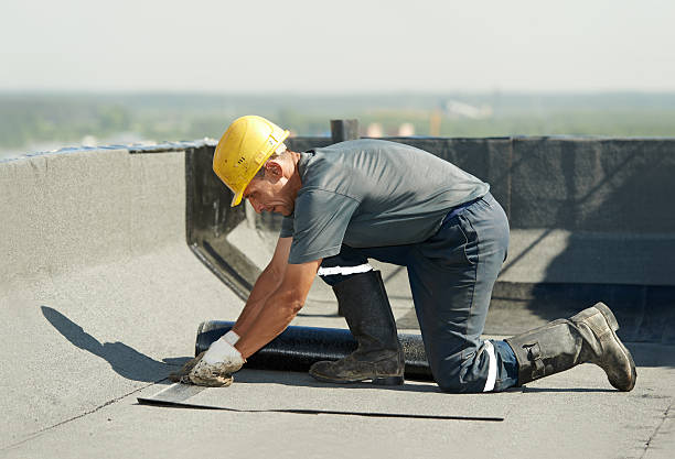 Best Specialized Insulation Services in Hidden Meadows, CA